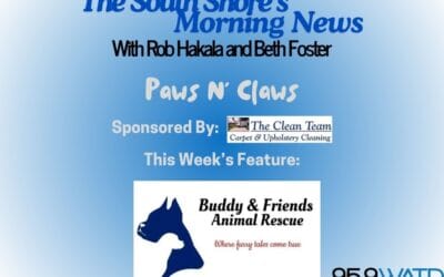 Paws N’ Claws: Tiffany McNeil of Buddy and Friends. Fun Event Coming Up and a Special Dog Needs their Fur-Ever Family