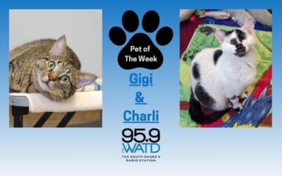 Meet our Pet of the Week, Gigi and Charli