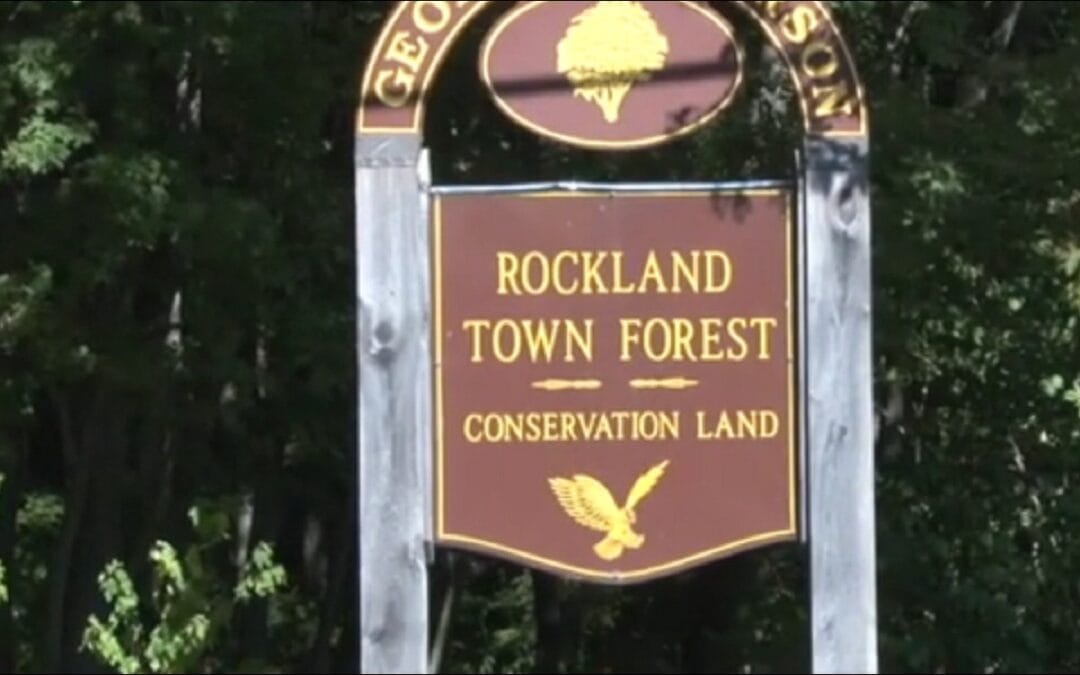 Police Investigating After Report Of Man Grabbing Woman In Rockland Town Forest