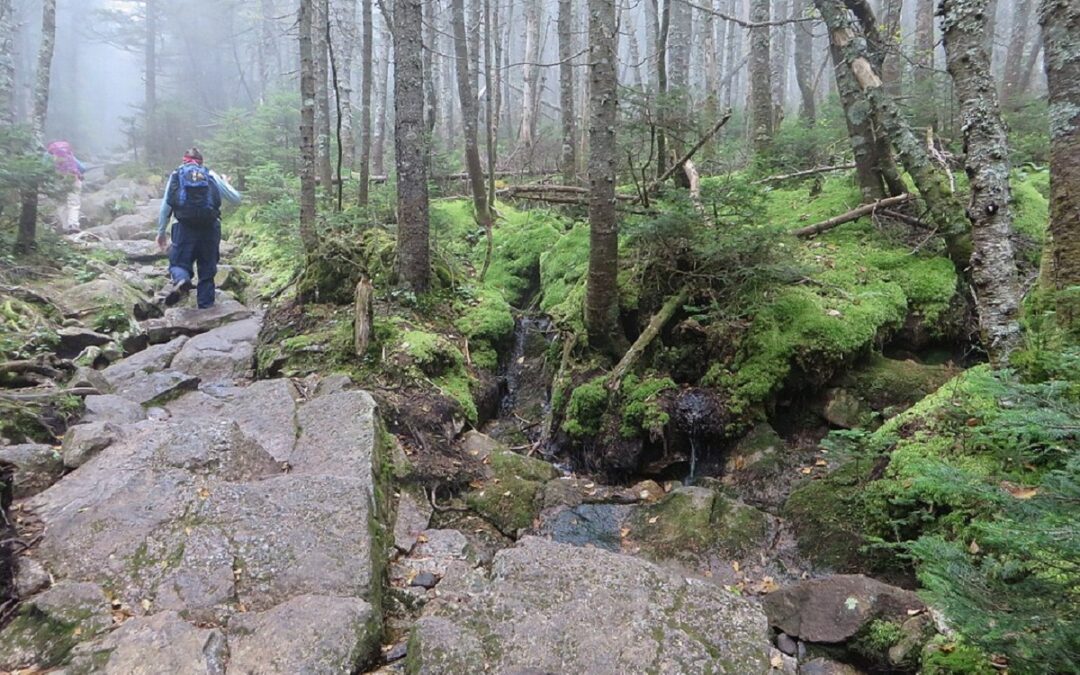 Braintree Woman Injured During Hike In NH