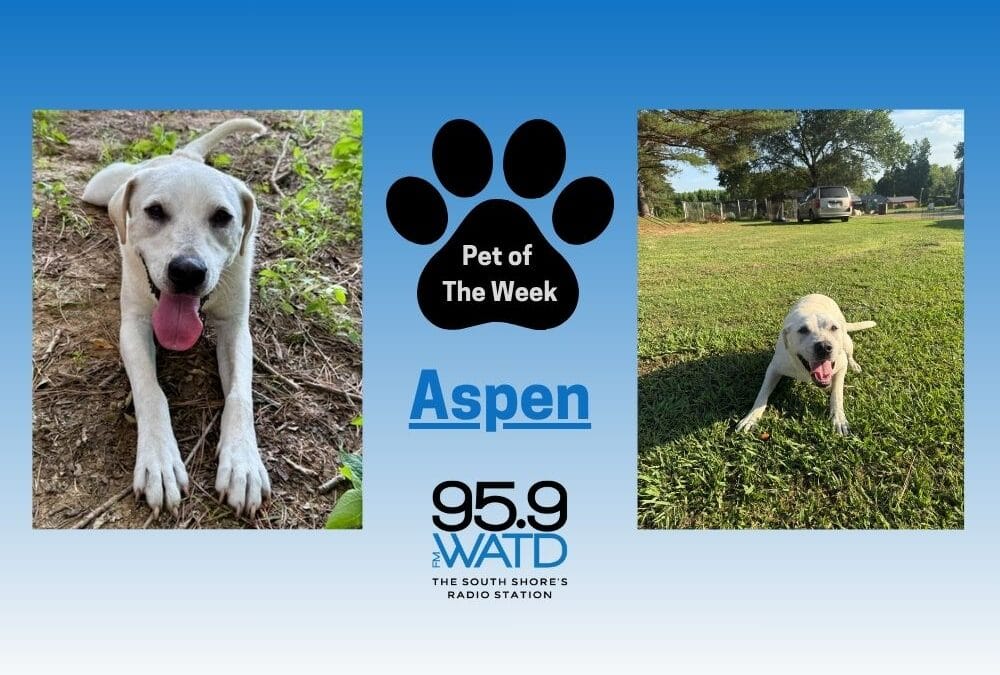 The Morning Show: Monday, August 11th