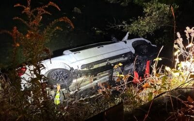 Man and Dogs Rescued From Truck Crash in River