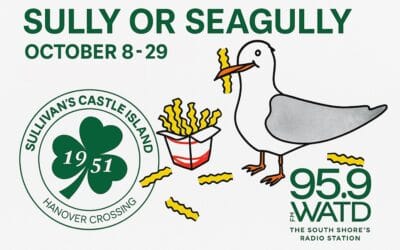 Flavor Your Fall with Sullivan’s Castle Island: Sully or Seagully is Here!
