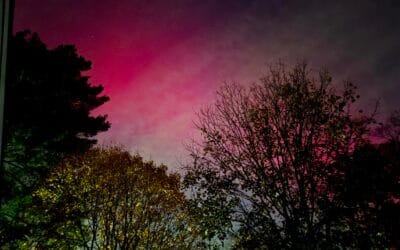 Northern Lights Dazzle the South Shore