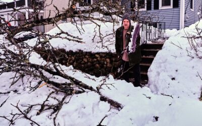 Plymouth Digging Out From Winter Storm