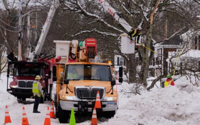 Plymouth Making Progress On Storm Recovery
