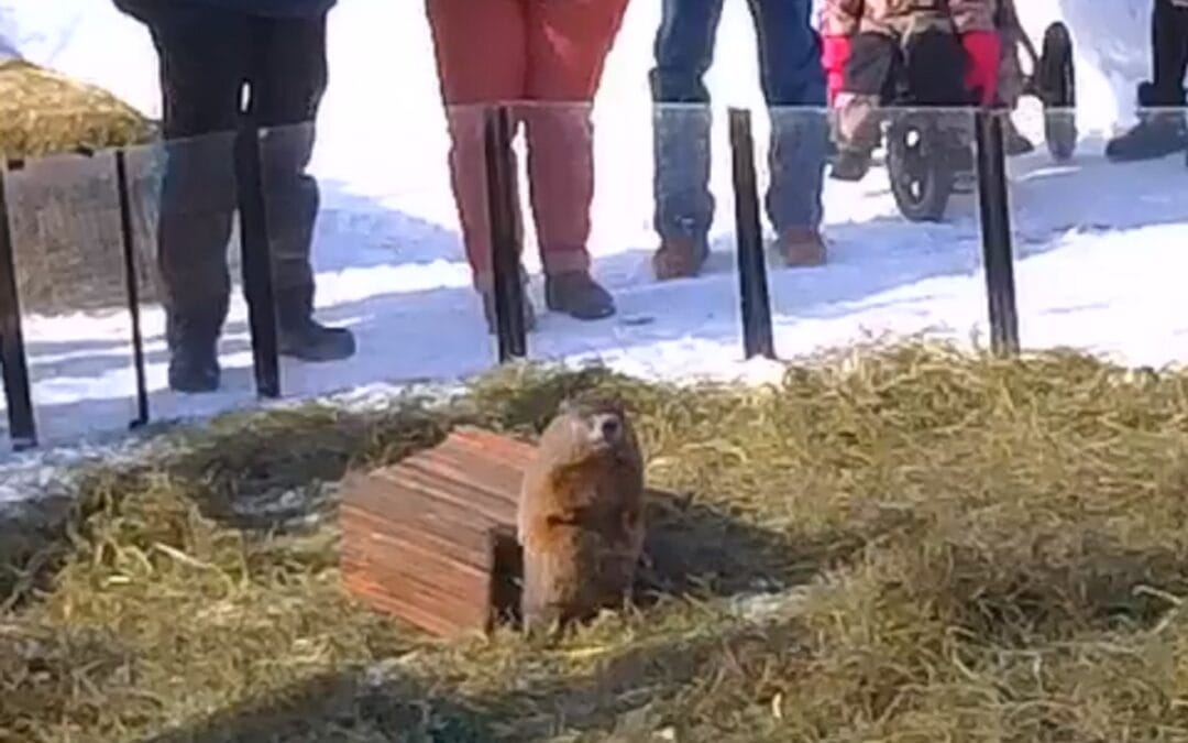 Ms. G Makes Groundhog Day Prediction