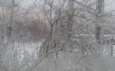Major Winter Storm Strikes South Shore