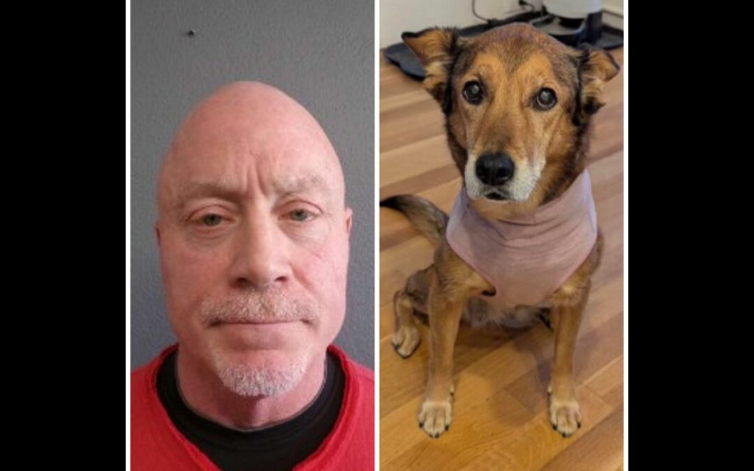 Cohasset Man Charged After Dog Fatally Shot