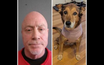 Cohasset Man Charged After Dog Fatally Shot