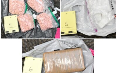 Lakeville Man Faces Drug Trafficking Charges