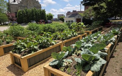 Weymouth Food Pantry Garden