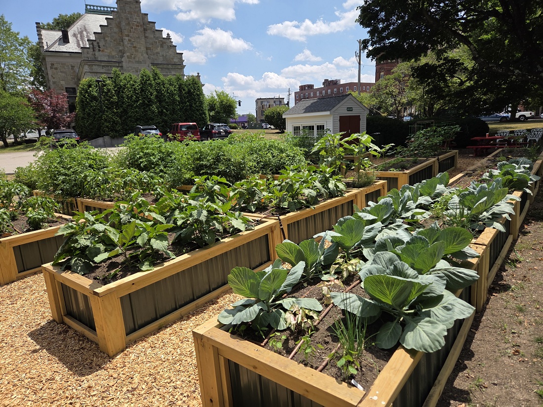 Food Pantry Garden